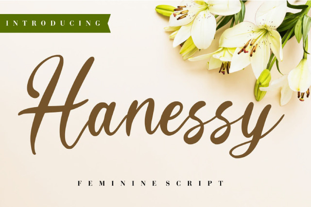 Hanessy Feminine Script font