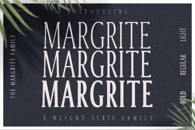 Margrite - Tall Serif Font Family