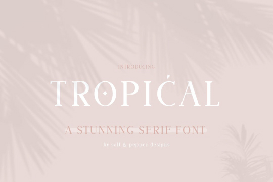 Tropical Serif Font