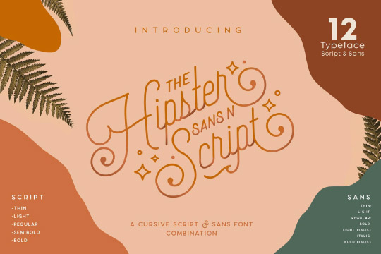 Hipster Style Script and Sans Typeface