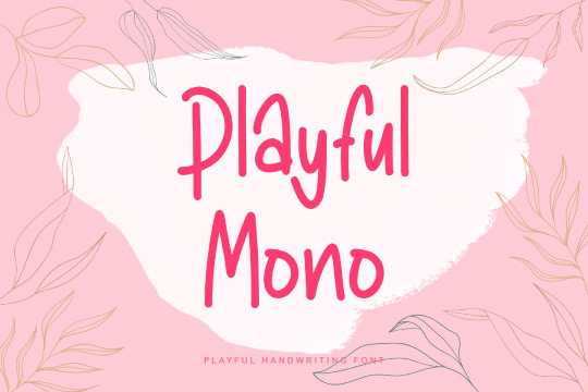 Playful Mono font