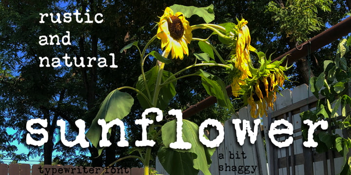 Sunflower font