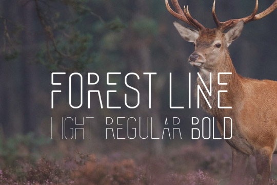 Forest Line Font Condensed