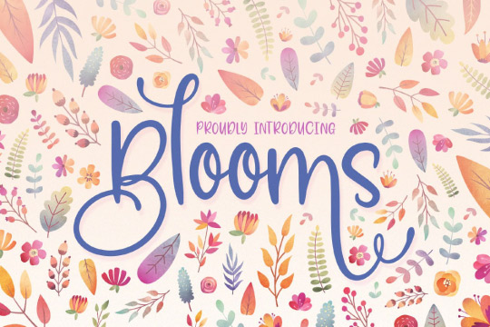Blooms Font Family