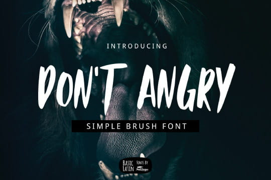 Don't Angry Font